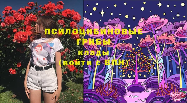 2c-b Алексеевка